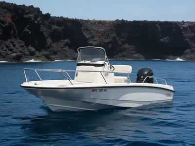 2008 Boston Whaler 200