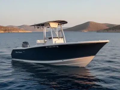 2011 Sea Hunt TRITON 225