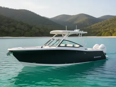 2025 Blackfin 272 DC