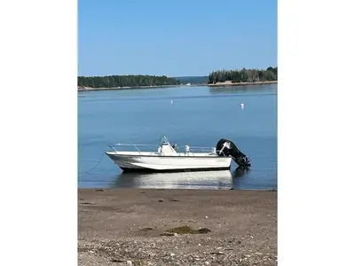 Boston Whaler MONTAUK 190