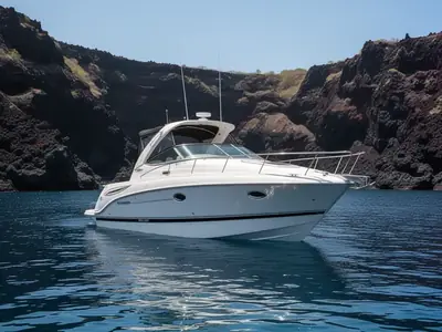 2014 Rinker 290 Express Cruiser