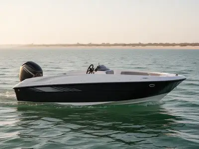 2024 Bayliner Element E16