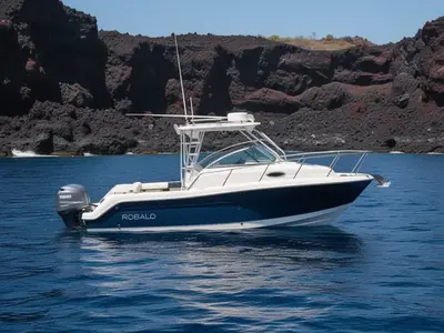 Robalo 245 WALKAROUND