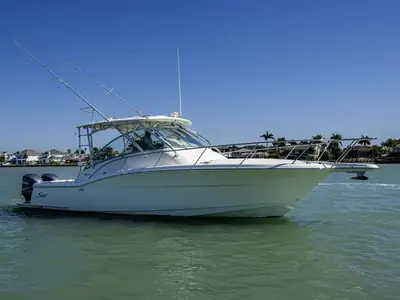Scout 350 Abaco