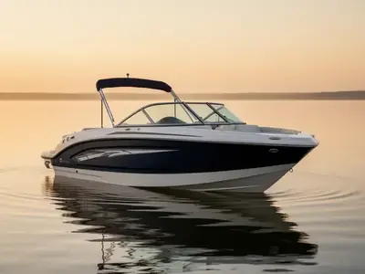 2019 Chaparral H2O 19 SKI & FISH