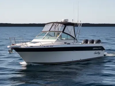 Sea Ray 29 WALKAROUND