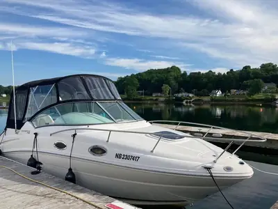 2010 Sea Ray 240 Sundancer