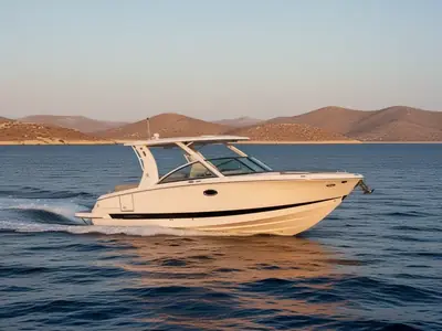 2026 Chaparral 310 OSX