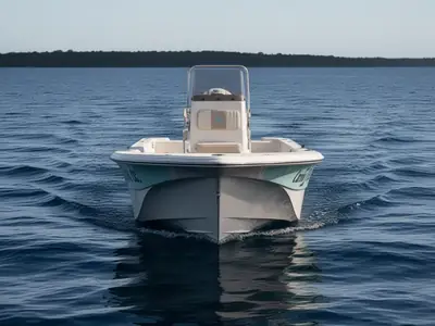 2019 Carolina Skiff JVX 20