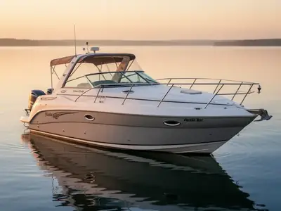 2004 Rinker FIESTA VEE 312