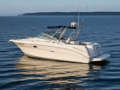 2004 Sea Ray Amberjack 290