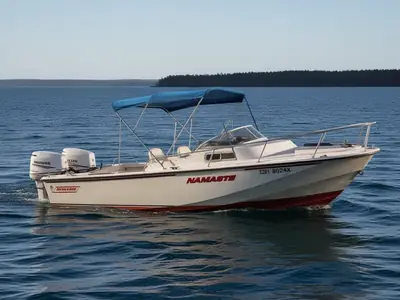 1983 Boston Whaler 25