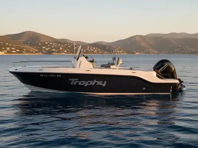2022 Bayliner Corp T20CC