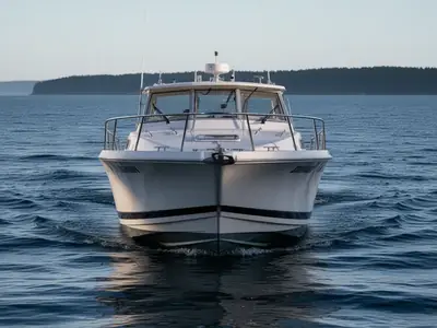 1998 Pursuit 2460 DENALI