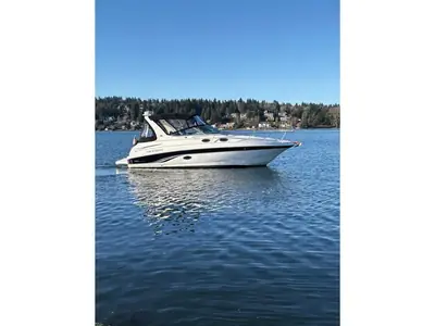 2001 Chaparral SIGNATURE 300