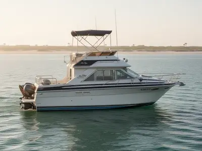 Sea Ray 265 SEDAN BRIDGE