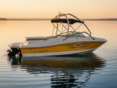 2008 Sea Ray 185 Sport