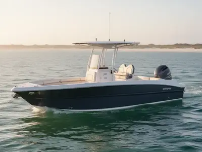 2026 Stingray 216 Cc