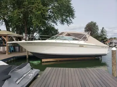 Sea Ray 310 AMBERJACK