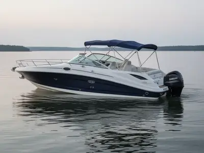 2011 Sea Ray 300 SUNDECK