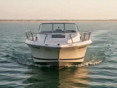 1994 Bayliner Trophy