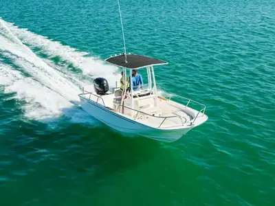 Boston Whaler 190 Montauk