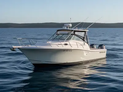 2007 Sailfish 30-06 EXPRESS