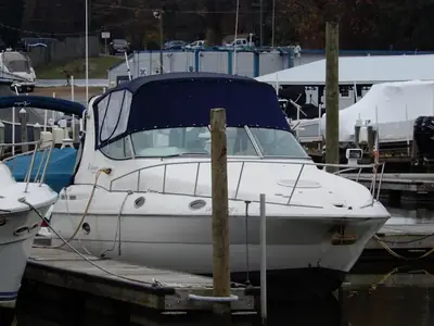 Cruisers 3075 ROGUE