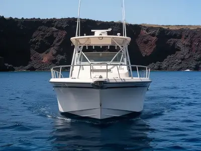 1996 Grady-White 272 Sailfish