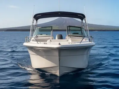 Sailfish 198 DC