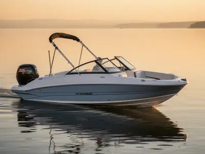 2026 Stingray 191 Dc