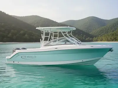 2019 Robalo R247 Dual Console