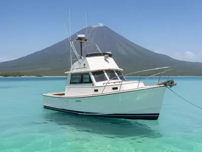 Cape Dory 28 FLYBRIDGE