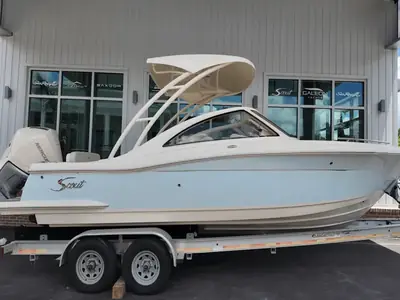 Scout 240 DORADO