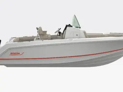 Boston Whaler 250 Outrage