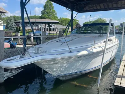 1993 Sea Ray SUNDANCER 330