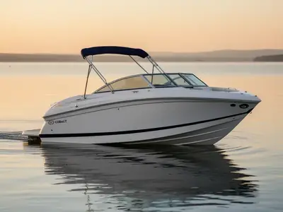 2010 Cobalt 242
