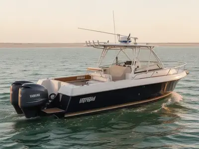 2006 Intrepid 310 Walkaround