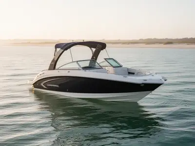 2010 Chaparral 264 SUNESTA