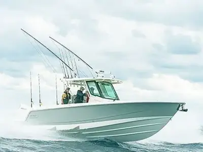 Boston Whaler 330