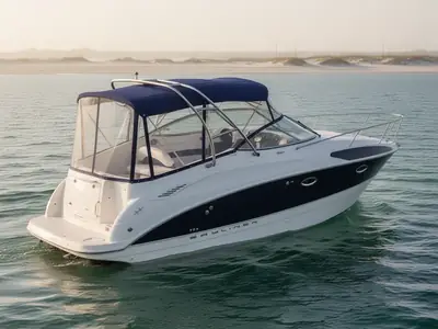 2006 Bayliner 265