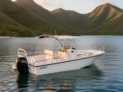 2020 Boston Whaler 210 Montauk