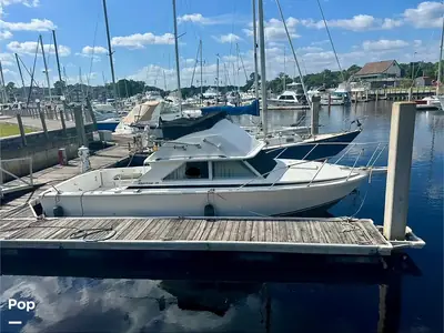 1975 Bertram FLYBRIDGE CRUISER