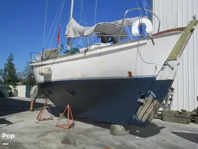 Amapala SA Herreshoff 37