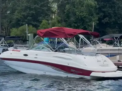 2004 Chaparral SUNESTA 254