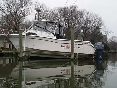 2002 Grady-White Marlin 300
