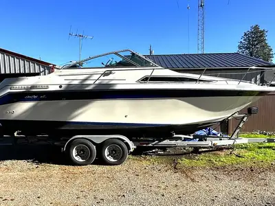 1989 Sea Ray Sundancer 250
