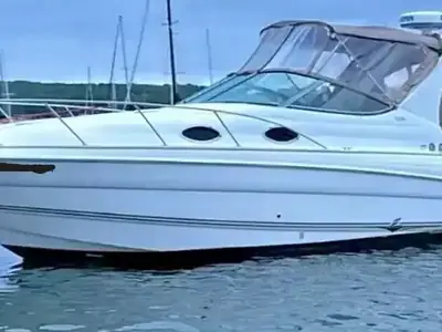 Larson Cabrio 290