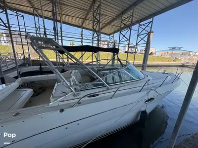 2003 Sea Ray Amberjack 290