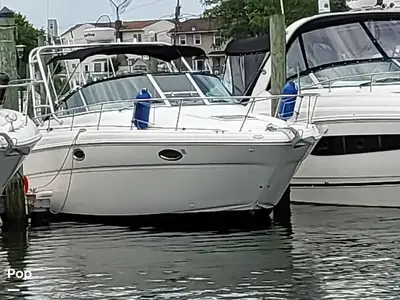 2004 Sea Ray Amberjack 290